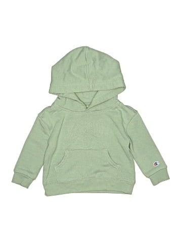 Champion Pullover Hoodie (view 1)