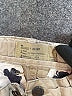 Lucky Brand Tan Cargo Shorts Size 7 - photo 3