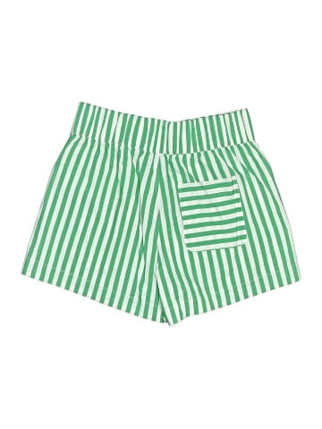 AYR Shorts (view 2)