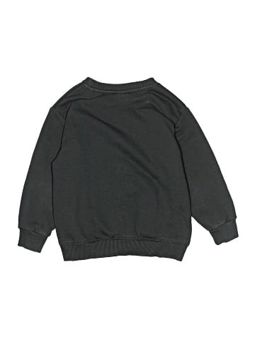 Zara Sweatshirt (view 2)