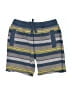 Tea Stripes Blue Board Shorts Size 3T - photo 1