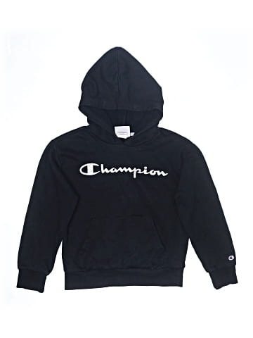 Champion Pullover Hoodie (view 1)
