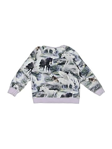 Molo Sweatshirt (view 2)