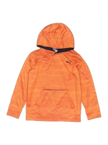 Puma Pullover Hoodie (view 1)