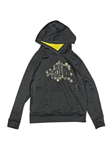 The North Face Pullover Hoodie (view 1)