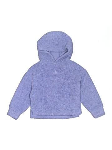 Adidas Pullover Hoodie (view 1)