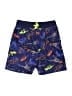 Lands' End Blue Board Shorts Size 8 - photo 1