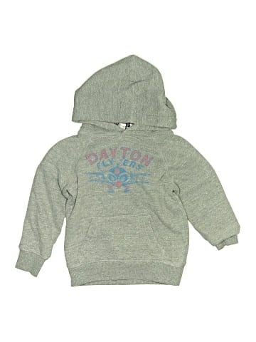 Homage Pullover Hoodie (view 1)