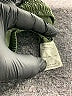 DONNI Solid Green Cargo Shorts Size XS - photo 4