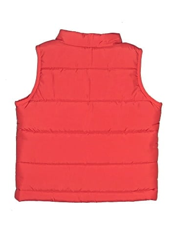 Nike Vest (view 2)
