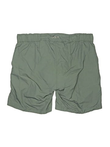 Fox Board Shorts (view 2)