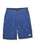Under Armour Blue Athletic Shorts Size 10 - photo 1