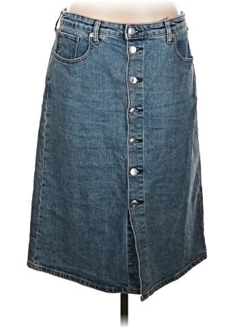 Everlane Denim Skirt (view 1)