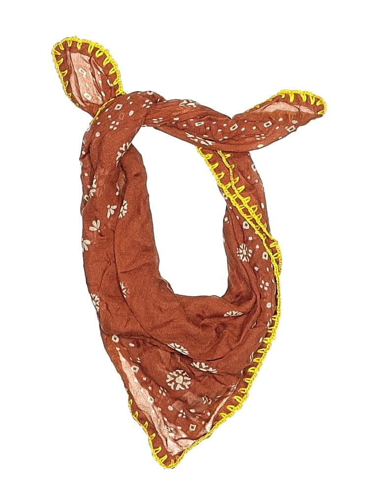 Pre-owned Chan Luu Scarf In Brown