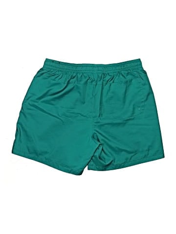 Nike Board Shorts (view 2)