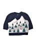 Baby Gap 100% Cotton Graphic Blue Pullover Sweater Size 3-6 mo - photo 1
