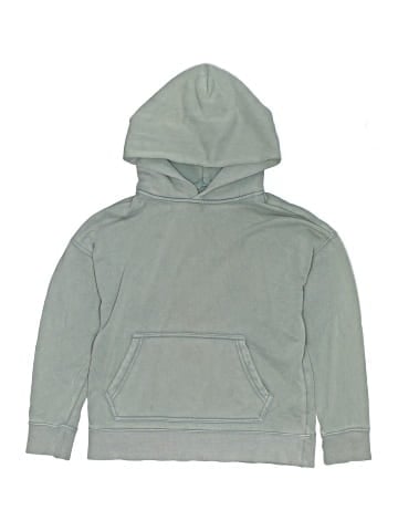 Gap Pullover Hoodie (view 1)