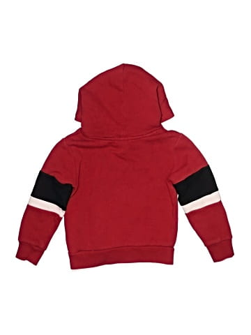 Polo by Ralph Lauren Pullover Hoodie (view 2)