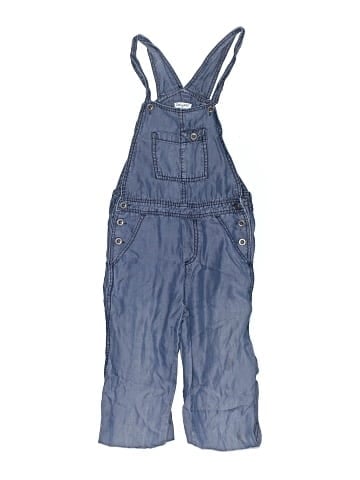 Splendid Overalls (view 1)