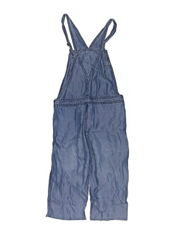 Splendid Overalls (view 2)