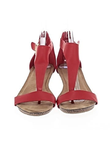 Reaction Wedges (view 2)