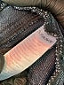 SPANX Blue Jeggings Size M - photo 7