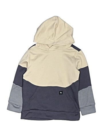 Tony Hawk Pullover Hoodie (view 1)