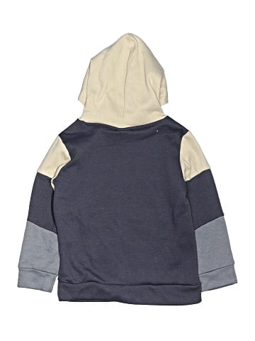Tony Hawk Pullover Hoodie (view 2)