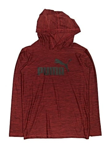 Puma Pullover Hoodie (view 1)