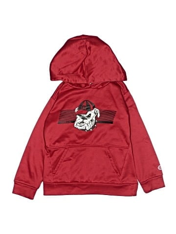 Champion Pullover Hoodie (view 1)