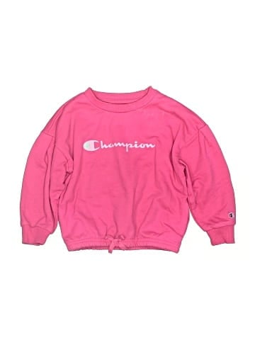 Champion Sweatshirt (view 1)