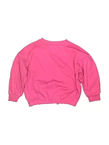 Champion Sweatshirt (view 2)