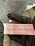 Marika Green Track Jacket Size L - photo 7