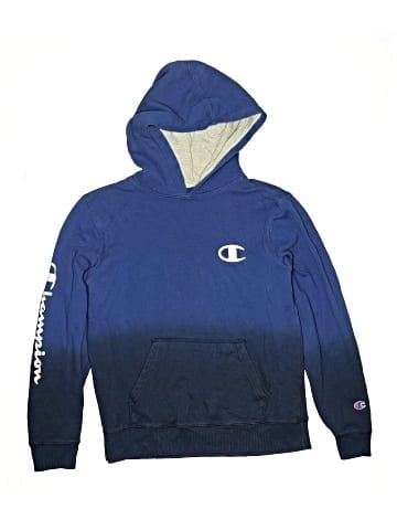 Champion Pullover Hoodie (view 1)