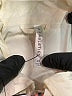 Fabletics 100% Polyester Color Block Ivory Jacket Size 2X - photo 6