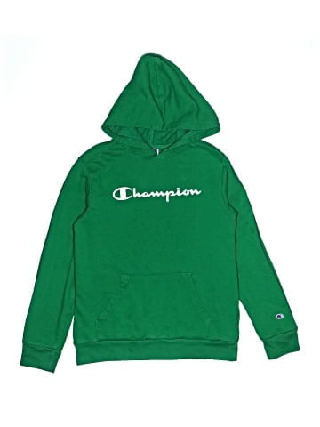 Champion Pullover Hoodie (view 1)