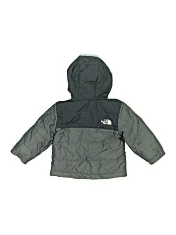 The North Face Jacket (view 2)