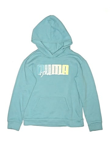 Puma Pullover Hoodie (view 1)