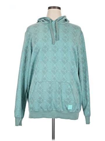 Puma Pullover Hoodie (view 1)