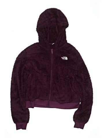 The North Face Zip Up Hoodie (view 1)