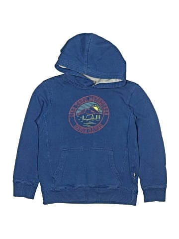 Eddie Bauer Pullover Hoodie (view 1)