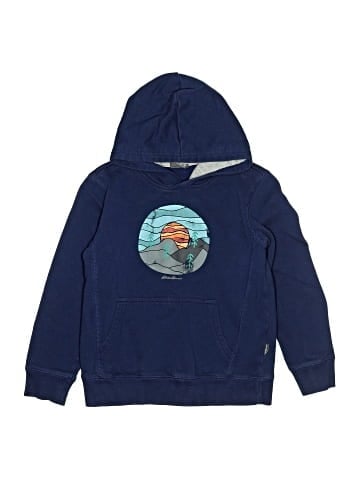 Eddie Bauer Pullover Hoodie (view 1)
