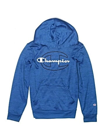 Champion Pullover Hoodie (view 1)