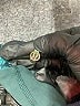 Lululemon Athletica Green Track Jacket Size 10 - photo 4