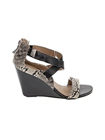 Reaction Wedges (view 1)