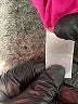Kim Rogers Pink Active T-Shirt Size 2X - photo 5
