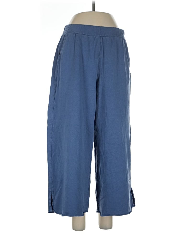 Pre-owned Toad And Co Casual Pants In Blue