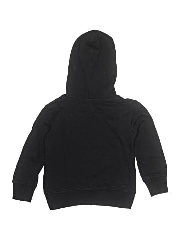 The North Face Pullover Hoodie (view 2)