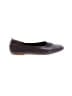 Everlane 100% Leather Brown Flats Size 8 1/2 - photo 1