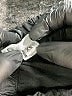 bryn WALKER Black Dress Pants Size XS - photo 8
